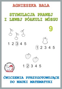 Zeszyt ćwiczeń 9 - Ćwiczenia przygotowujące do nauki matematyki