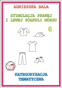 Zeszyt ćwiczeń 6 - Kategoryzacja tematyczna