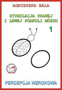 Zeszyt ćwiczeń 1 - Percepcja wzrokowa