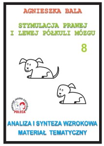 Zeszyt ćwiczeń 8 - Analiza i synteza wzrokowa, materiał tematyczny